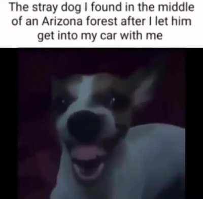 me when p̷̡̡̡̫̖̱͔͍͈̯̗̘̘̃̍̀̍̒͜h̴̛͙̠͍̦͇̝̫̠̔̏͂̈͗̈̍̃͒͗̒͆͘̕͝͝n̸̡̢͔̮͔̙̞̭̝̝͔͚͇̘̝͈̞̣̒́̾̀̈̚̚͜͠͠͠g̷̛͚̈̾́̿̎̈́̽̍̀̀̈͗͆̊͘͝l̸̗̦̥̺̝̘̦̗͊̉̂̓͊̉̀͂͐̈̂͆̅͌͝ừ̶̢̺͚̹͚̙̮̝̬̜͉͆͊̌̀̒͊̿́͆͌̊͊̚̕͠͝į̵̧̧͈̩̹͕͈̘̫͍̣͉̠̍̈́͋̍̊̽̌̋̉̾̅͗̑̈̃̓͠ ̴̧͇̩̳̟̭̩̦̻͚̹̭̓̐̽̒̌̌͑̐͛̓̃̒̒̇̚͝m̷͍̌͊́̃͝ĝ̵̱̩͕̪̼̑́̽͐̓̅̔̐̔̔͝͝ͅ