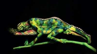 I want one of these.