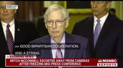 Mitch McConnell freezes during a press conference 