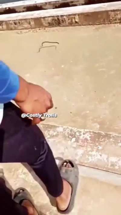 Fuck the cameraman