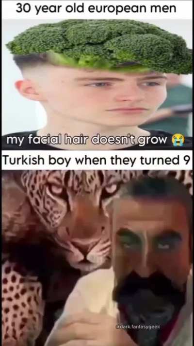🪳🐺