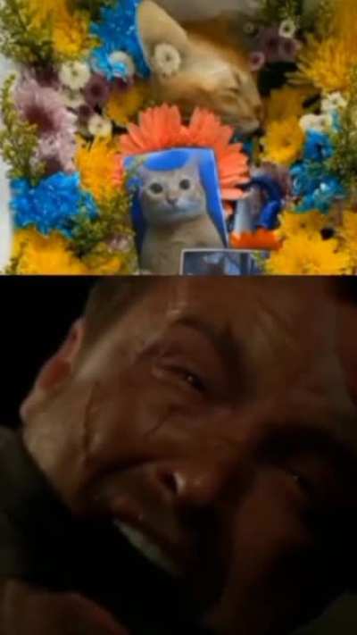 :(