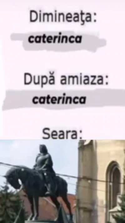 Only in Romania ong💀☠️💀