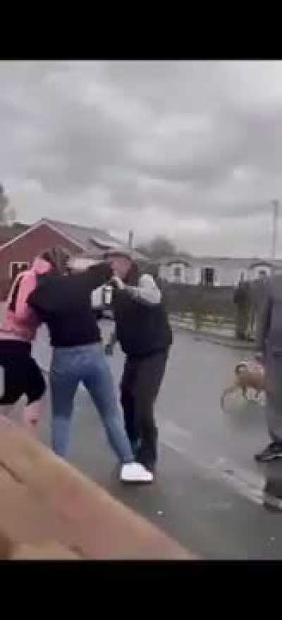 traveler street fight