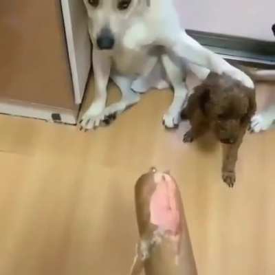 maybe maybe maybe
