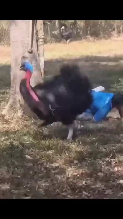 Those things got heavy, sharp claws