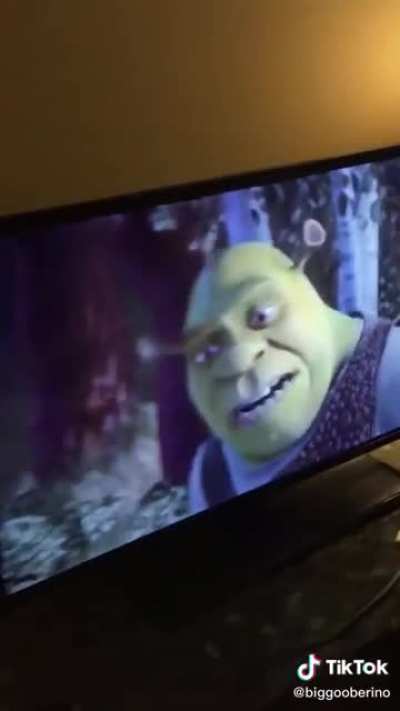 Something Shrek Related