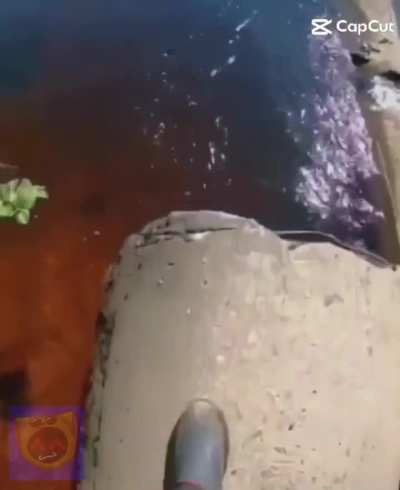 Person in the water