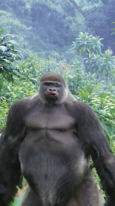 Monke mad