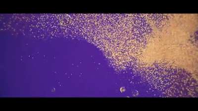 200 days of Motion Design (Days 100-200)