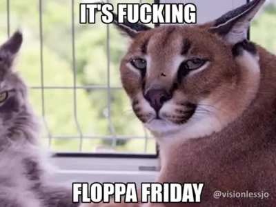 ITS FLOPPA FRIDAY BITCHES!