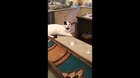 I edited the video to make it funnier, and, now, I can’t stop laughing every time I see it!