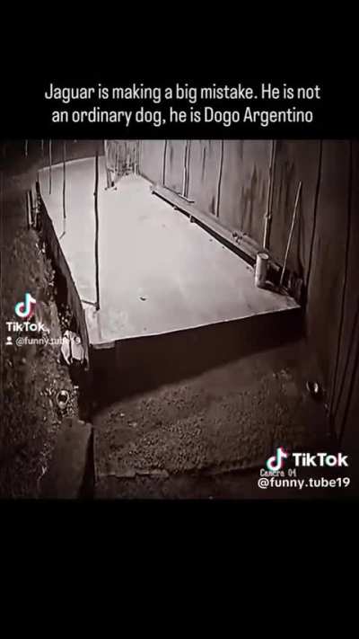 Woah…