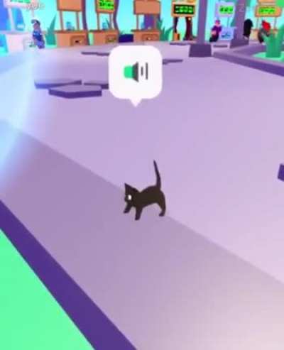 what is this?
