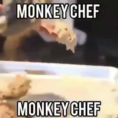 Monkey Chef