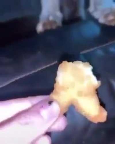 Amoguise