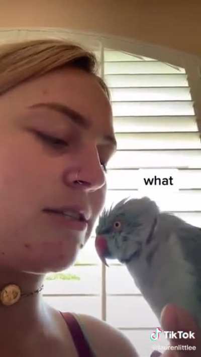 Watch. The. Tiktok. With. Me.