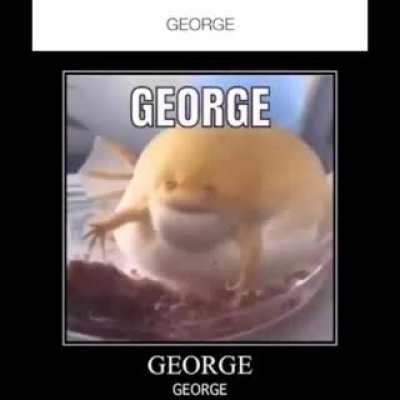 GEORGE