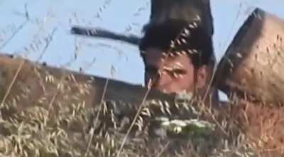 TW:GRAPHIC, SAA FSA