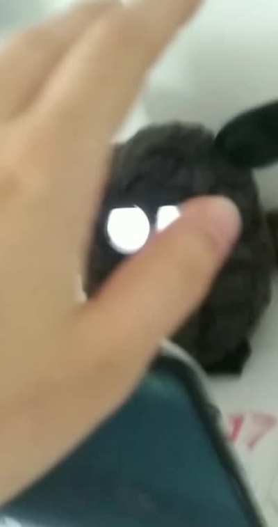 Furby is the devil 2