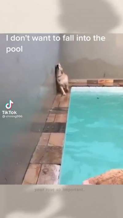 Zero risks