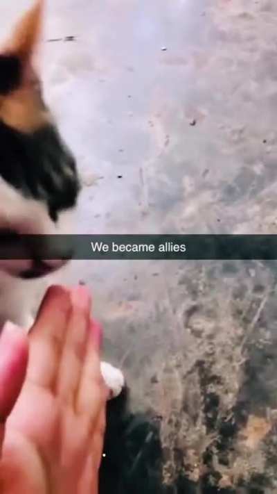 🤝
