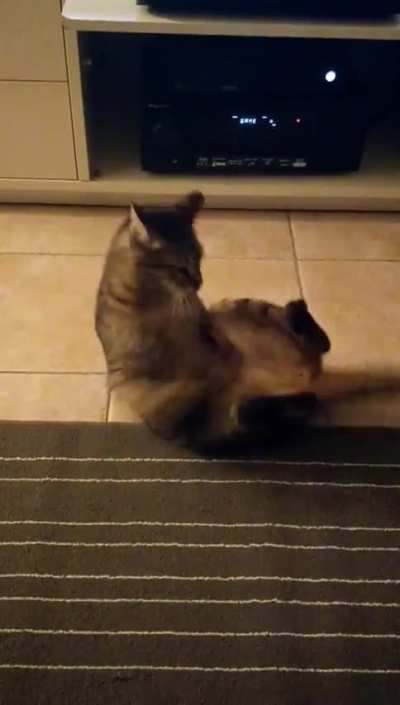 Unintentional flip. 