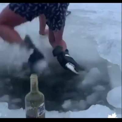 The Birth of a Canadian.