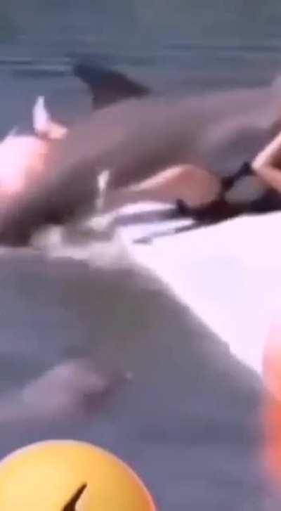 uwu