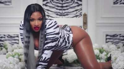 Megan The Stallion