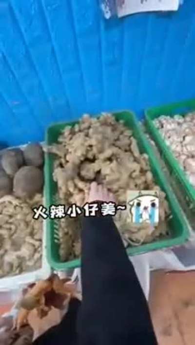 Chicken🇹🇼