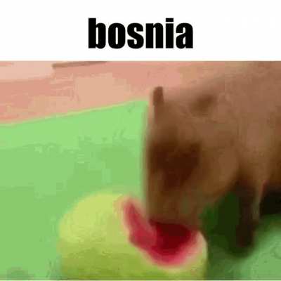 albanian???????