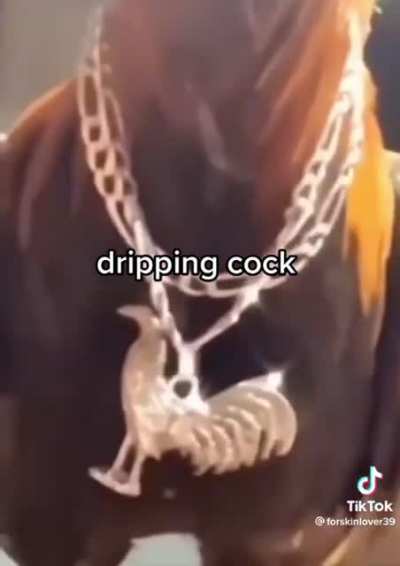 Cock 🥵