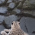 Surprise!
