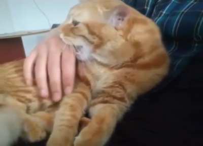 touch tha arm