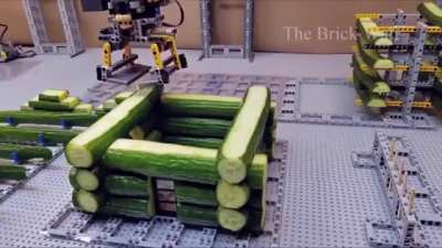 Is cucumber house interesting?