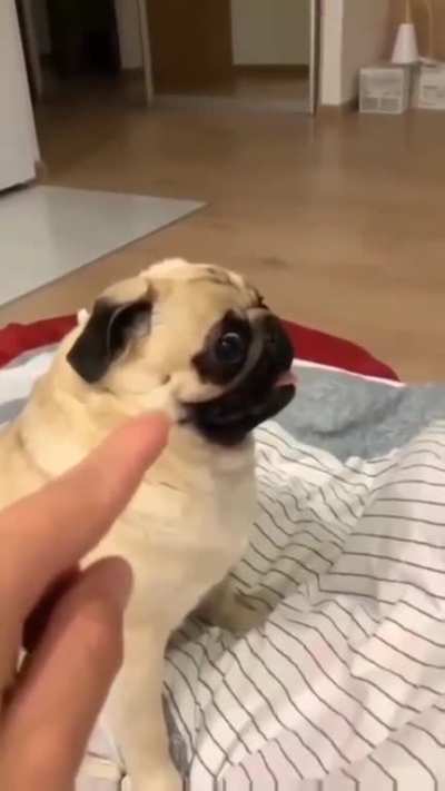 You think it’s funny?