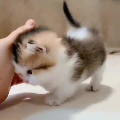 Oh lawd, he comin'