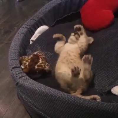 Lil' help?