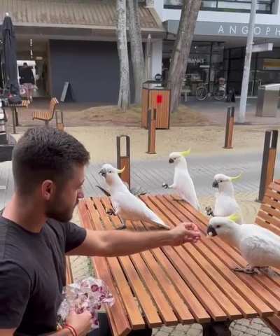 Lunch with bros