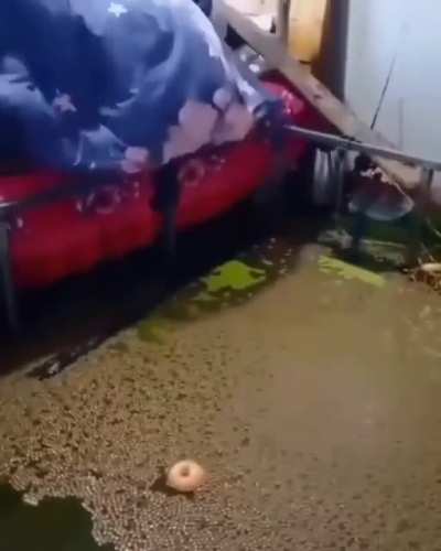@_@