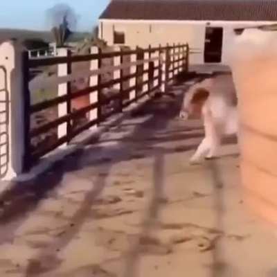 ‏‏‏‏‏‏‏‏ ‏‏‏‏‏‏‏‏ ‏‏‏‏‏‏‏‏ ‏‏‏‏‏‏‏‏ ‏‏‏‏‏‏‏‏ ‏‏‏‏‏‏‏‏ ‏‏‏‏‏‏‏‏ ‏‏‏‏‏‏‏‏ ‏‏‏‏‏‏‏‏ ‏‏‏‏‏‏‏‏ ‏‏‏‏‏‏‏‏