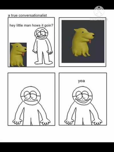 Funny dog