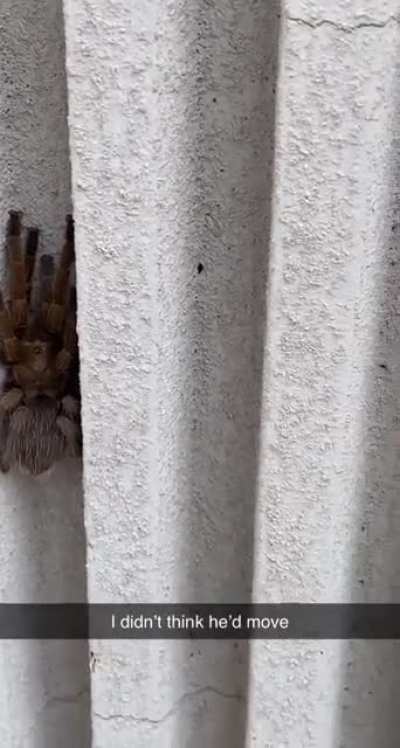 Giving Mr. Nope a little poke