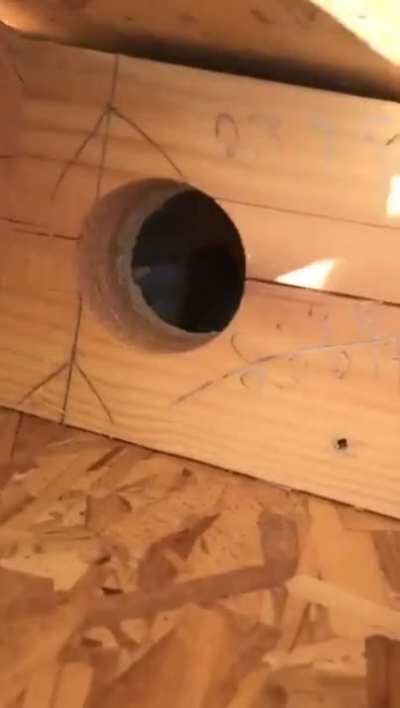 Tenant has moved in
