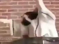 👉🏽🐈 🤑🛐