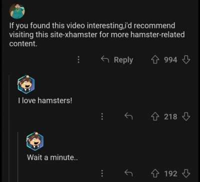 hampter