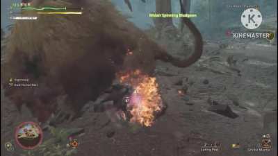 Hunting a Doshaguma at supersonic speed