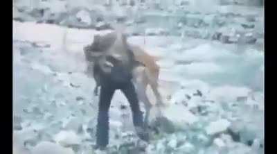 Guy jumps from helicopter and wrestles stag to ground and captures it