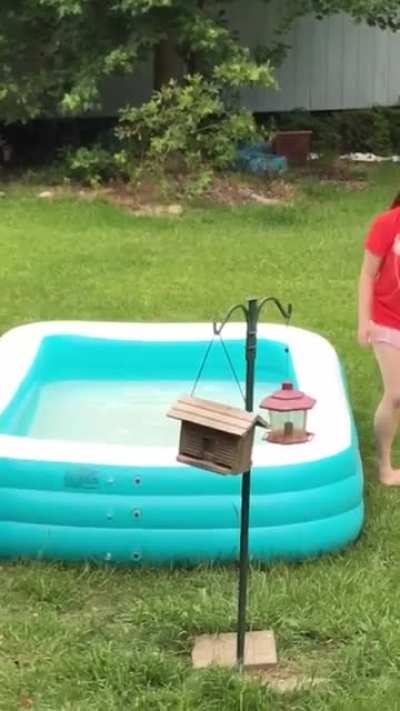 Squirrel rescue